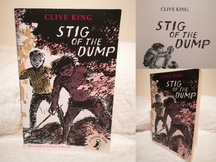 Kids/Children STIG OF THE DUMP (A Puffin Book), Clive King New Book Fiction - Children Store Co.