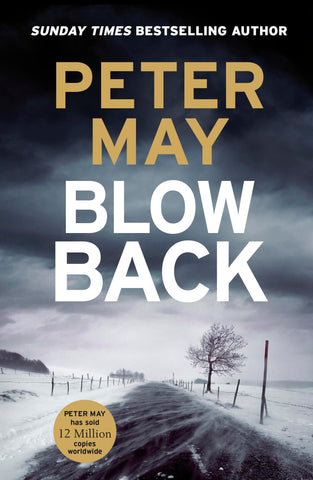 Blowback: The exciting penultimate case in the addictive crime series (The Enzo Files Book 5) - Children Store Co.